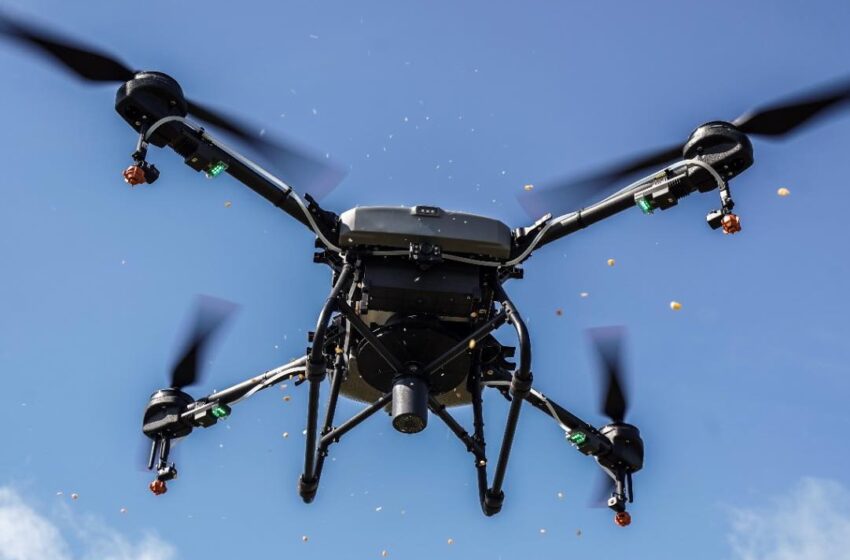  Cormacarena emplea drones para siembra de arboles
