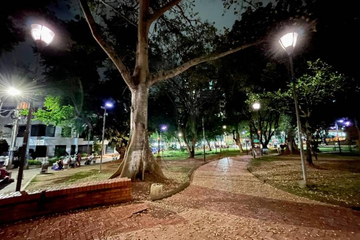  163 parques serán iluminados con bombillería Leed por empresa holandesa