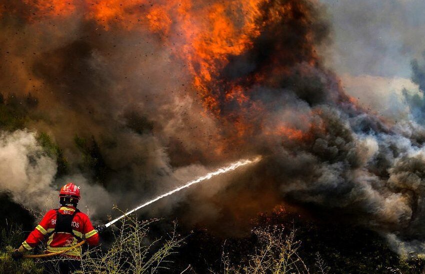  Incendio forestal consumió 350 hectáreas. Van 40 emergencias por las primeras olas de calor