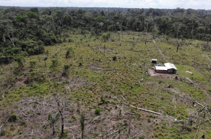  Gigantesca operación militar contra deforestación en el Meta. Fueron allanados cinco núcleos