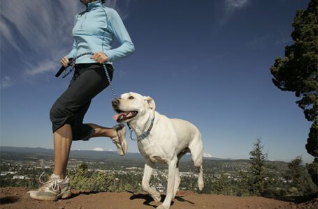 la primera ‘canin run’ se toma la  recreovía este domingo 4 de diciembre