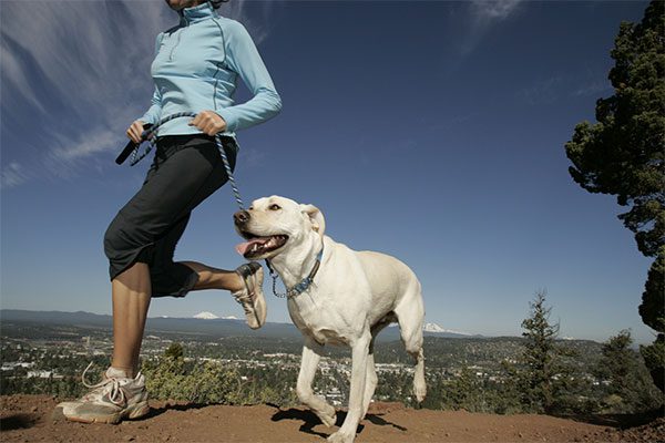  la primera ‘canin run’ se toma la  recreovía este domingo 4 de diciembre