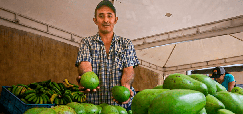  La Gobernación destaca a los mercados campesinos como hecho exitoso este año