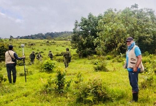  Cerca de 51 mil hectáreas de tierras han restituido las autoridades a víctimas de despojo en el Meta