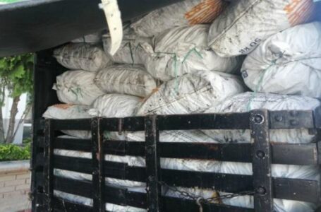Capturado por transporte ilegal de un cargamento de carbón vegetal