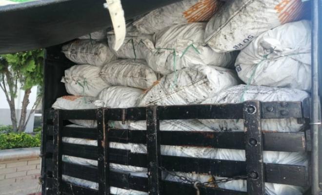 Capturado por transporte ilegal de un cargamento de carbón vegetal