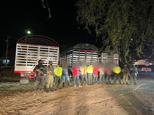  Golpe al abigeato dieron el Ejército y la Policía