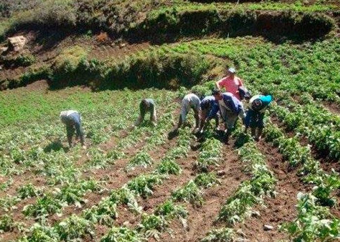  48 ganaderos recibieron kits para fortalecimiento de la productividad en Cabuyaro