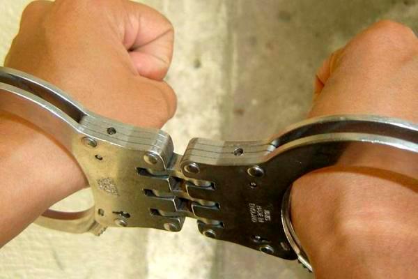  Cinco personas condenadas a prisión por maltrato animal en varias regiones del país