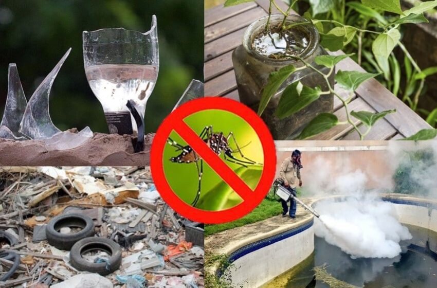  Eliminar criaderos de zancudos para evitar proliferación de dengue en la capital del Meta