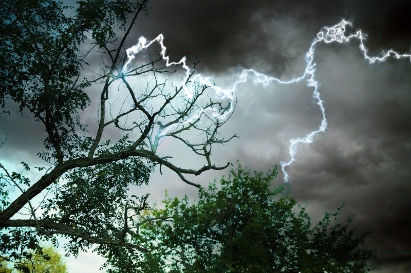  Meteorólogo recomienda no estar al aire libre ni estar debajo de árboles para evitar descargas eléctricas ante fuertes aguaceros