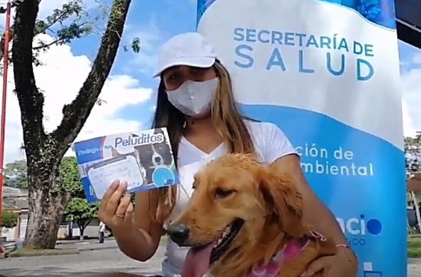  Desde hoy vacunación a perros y gatos casa a casa en Villavicencio