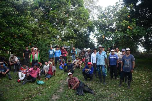  En emergencia humanitaria estarían campesinos cultivadores de coca de Meta y Guaviare