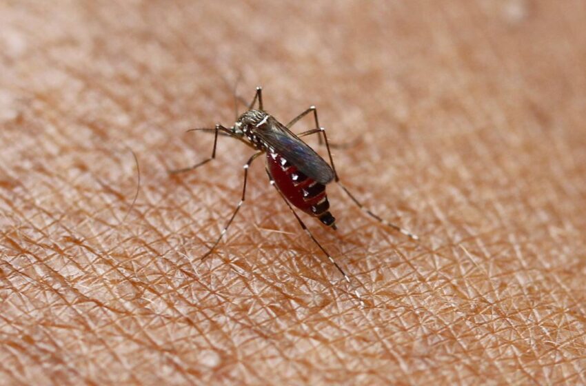 Villavicencio declarado en calamidad pública por numerosos casos de dengue y ola invernal