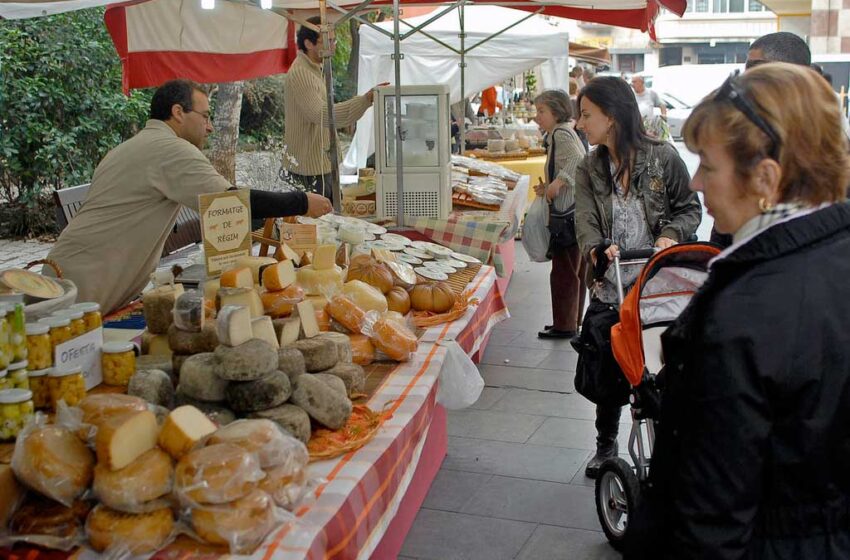  Productores de queso de Vistahermosa realizarán una “Quesaton” para vender 30 toneladas en Villavicencio