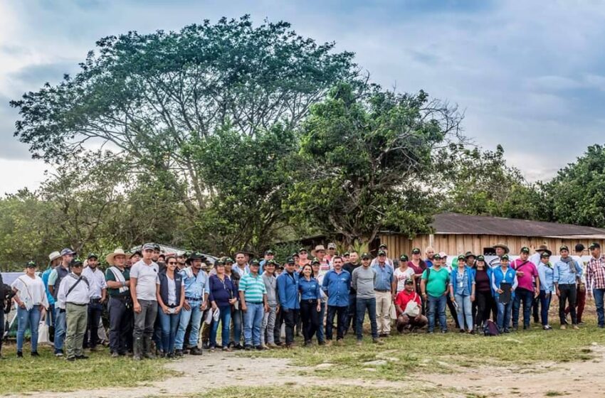  “Queremos crecer”: Excombatientes del Mariana Páez al recibir las tierras en Dinamarca