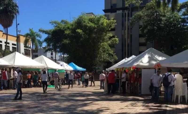  Feria de emprendimientos hoy la plaza los libertadores