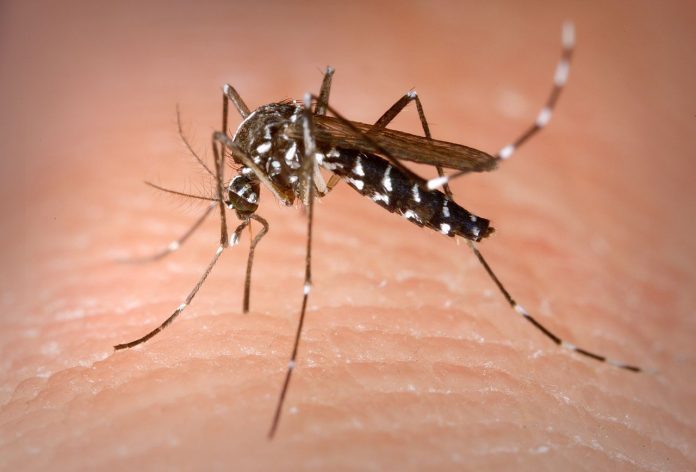  Mantienen la alerta por dengue en Villavicencio