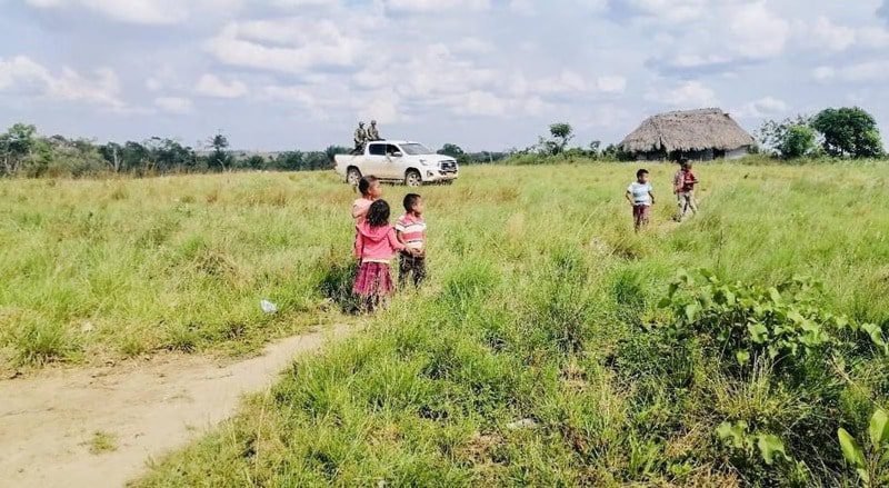  16 mil hectáreas de espacio ancestral recuperan indígenas Sikuany y Piapoco en Meta y Vichada