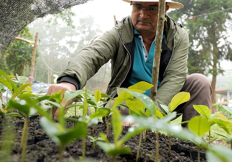  Campesinos cuidadores del medio ambiente amenazados por defender la naturaleza en Meta, Guaviare, Vichada, y otras regiones