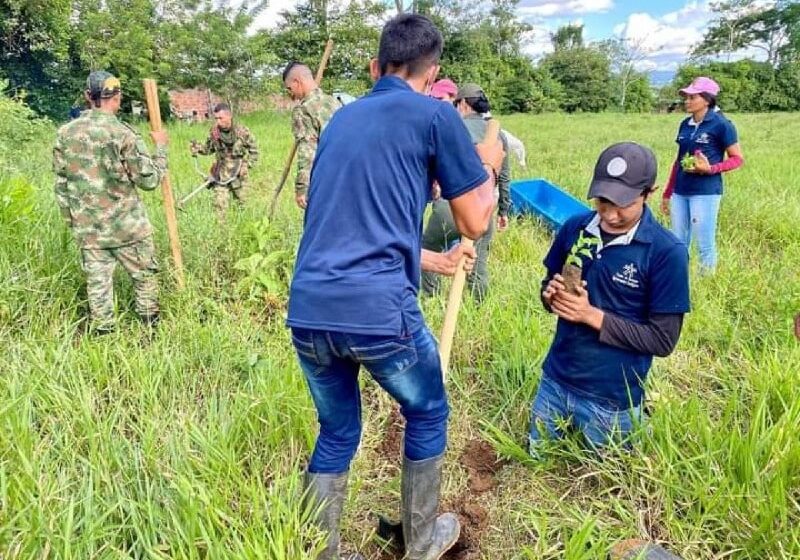  Cormacarena continúa capacitando al Ejército para mitigar la deforestación en el Meta