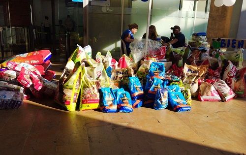  Más de una tonelada de alimentos para mascotas serán enviados a municipios del Meta