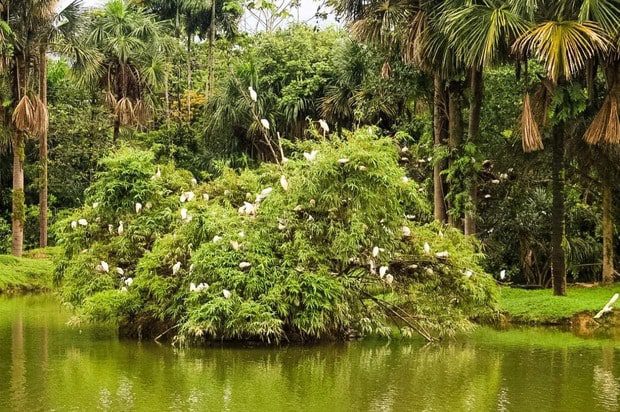 Actualización del POT reconoce 742 humedales y 14 áreas protegidas en Villavicencio