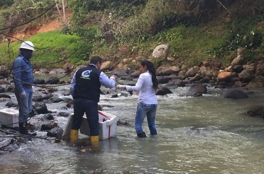  Descontaminando ríos en cuatro municipios, Cormacarena ha beneficiado a más de 46.000 metenses