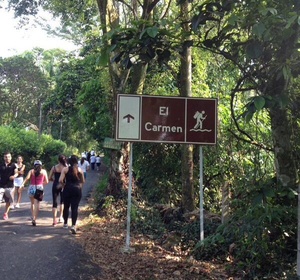  Instructores del imder acompañarán caminata ecológica a la vereda el Carmen mañana sábado