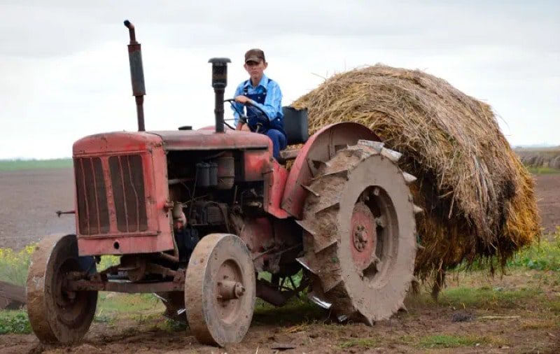  Menonitas dedicados a labores agrícolas han superado sanciones económicas