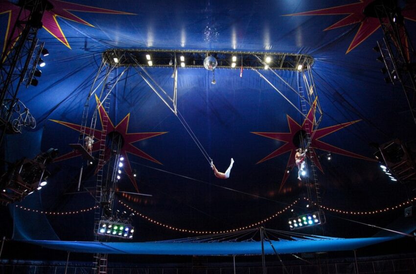  Cada diciembre, el Meta celebrará el Festival Nacional de Circo