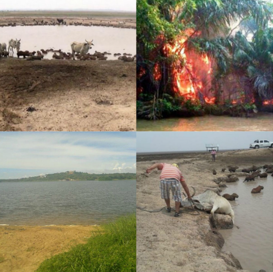  Acciones del Gobierno Nacional Frente a la Sequía e Incendios, Representan un Respaldo Urgente a las Comunidades Afectadas