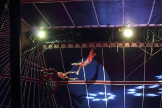  Trapecista perdió el equilibrio y cayó sobre público de un circo