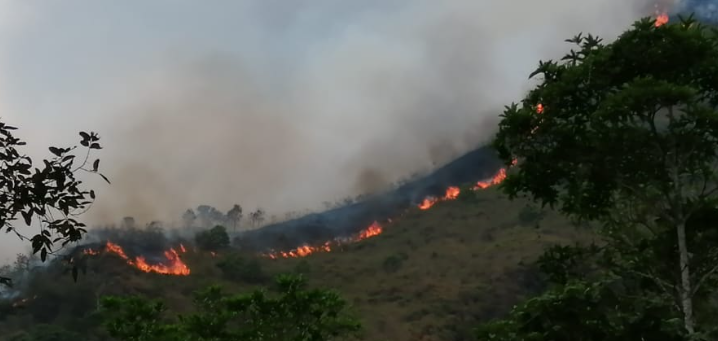  Incendio en Cáqueza dispersó humo que afectó a comunidades vecinas y a la fauna