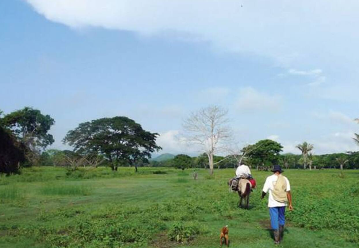  Extranjeros se están adueñando de la tierra en el Llano, advierte Minagricultura