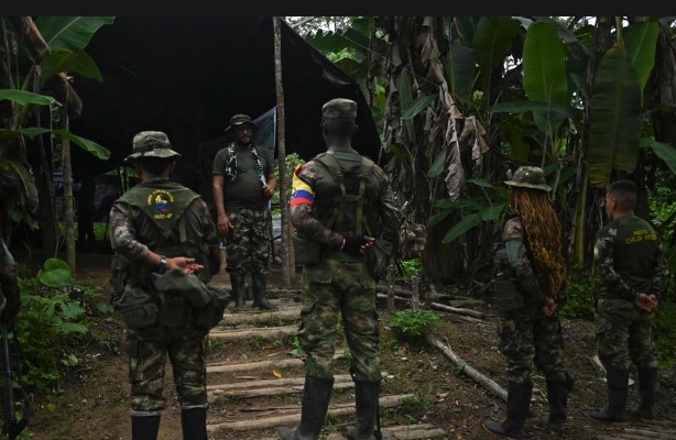  Grupos armados utiliza a población civil para interrumpir operativos de la fuerza pública contra la desforestación