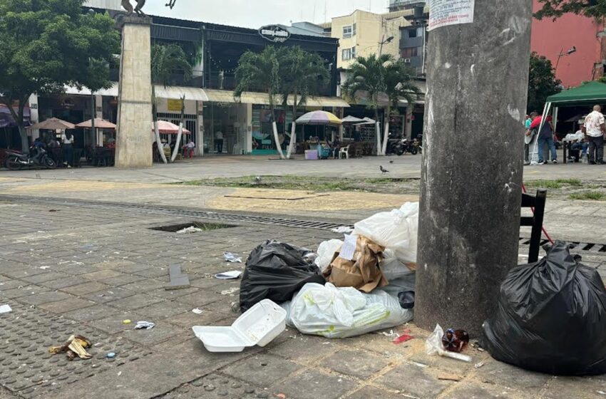  Multa desde $677 mil a quien bote basura a la calle a partir de septiembre