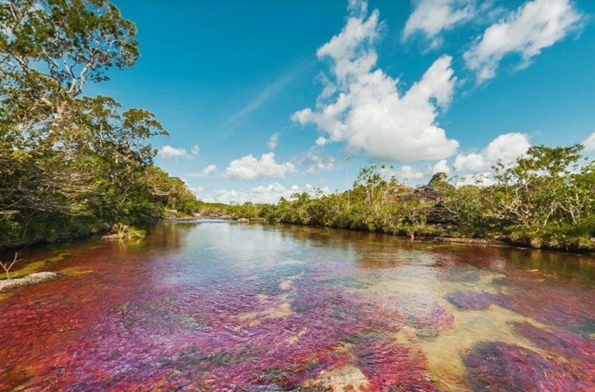  Universidad de Los Llanos formará guías turísticos bilingües en el Meta