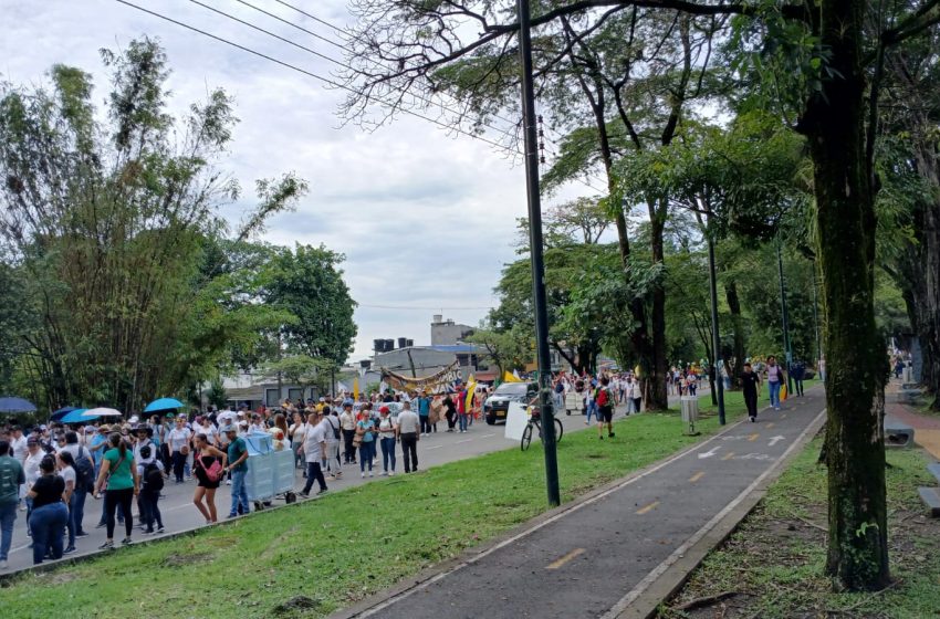  Nutrida la marcha en Villavicencio